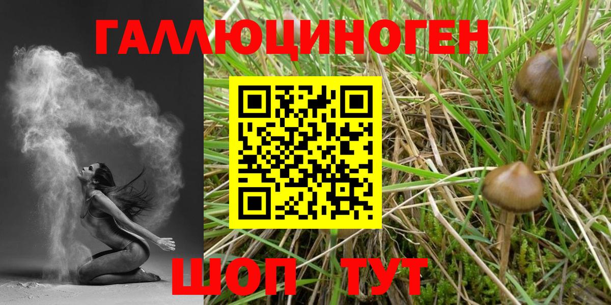 Дзержинский  Псилоцибиновые грибы Cubensis  Вход с VPN  Псилоцибиновые грибы Magic Shrooms 