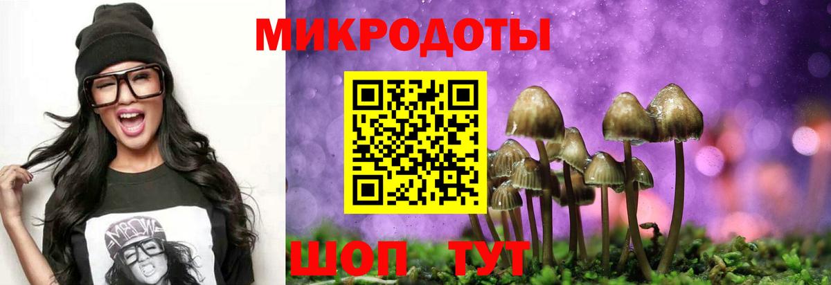 Галлюциногенные грибы ЛСД Дзержинский