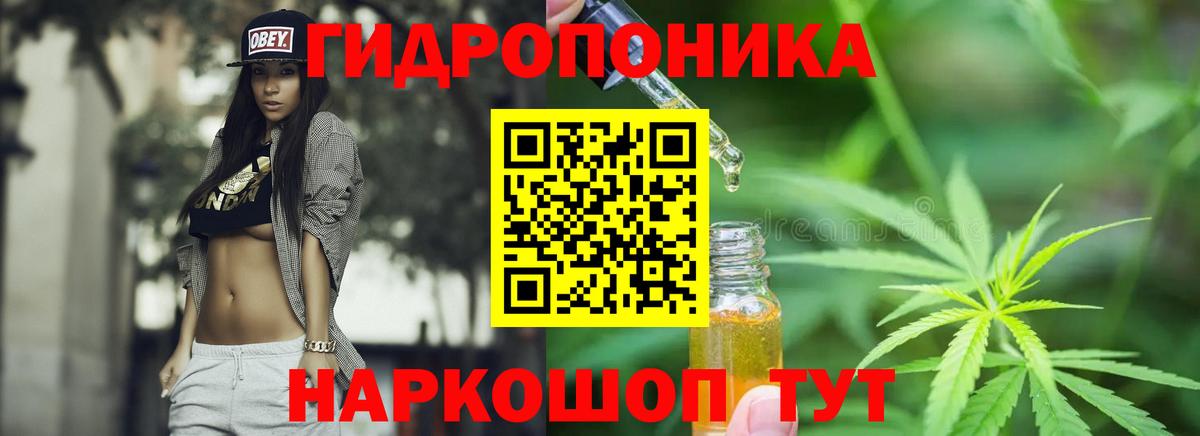 Дзержинский  Конопля план  Вход с VPN  Бошки марихуана White Widow  Каннабис AK-47 